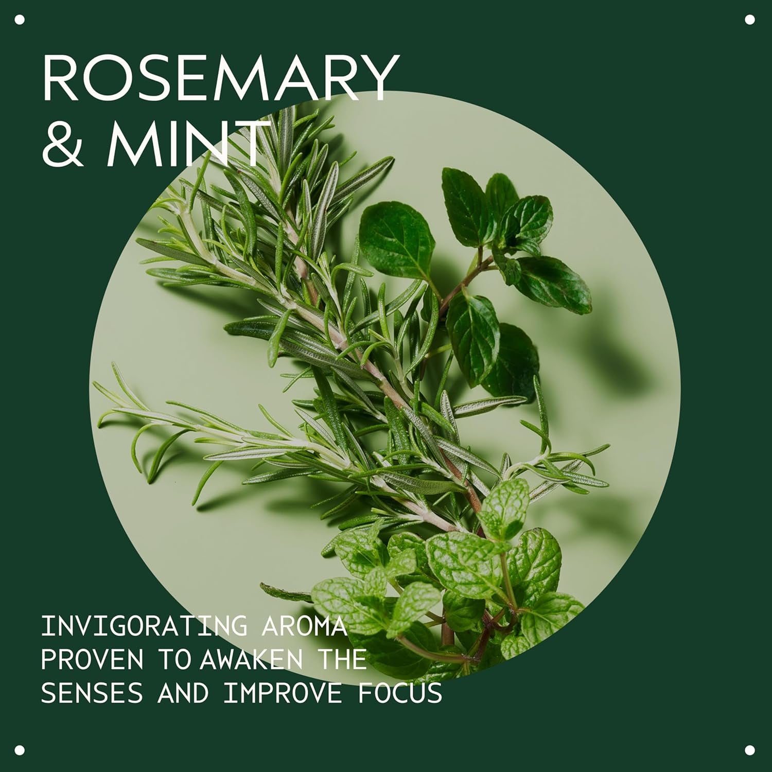 Rosemary Mint Purifying Shampoo | Clarifying Shampoo | Adds Shine | for Normal to Oily Hair, Fine to Medium Hair Types | 97% Naturally Derived*