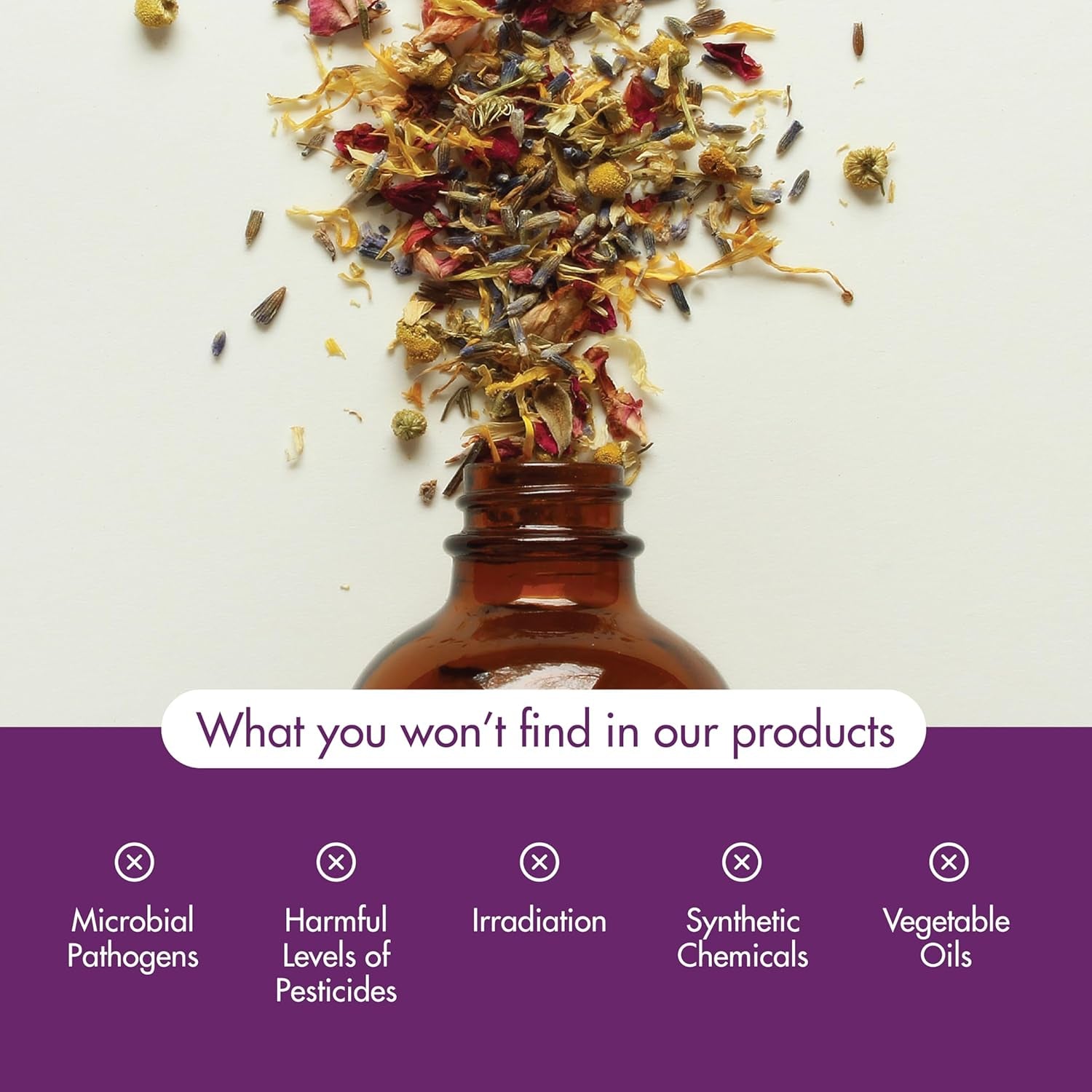 Essential Oils, Clove Oil, Balancing Aromatherapy Scent, Steam Distilled, 100% Pure, Vegan, Child Resistant Cap, 30Ml